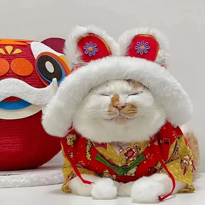 Chào Tết rộn ràng với avatar tết meme mèo cực đáng yêu
