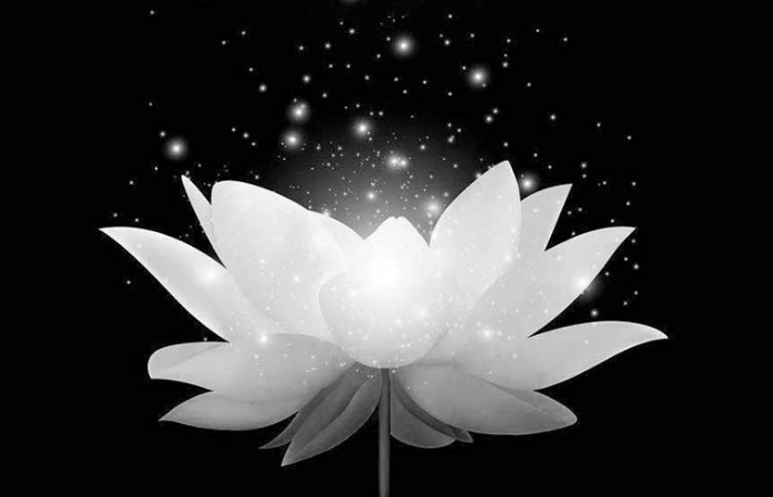 Avatar cô đơn, một mình giữa dòng đời đông đúc
