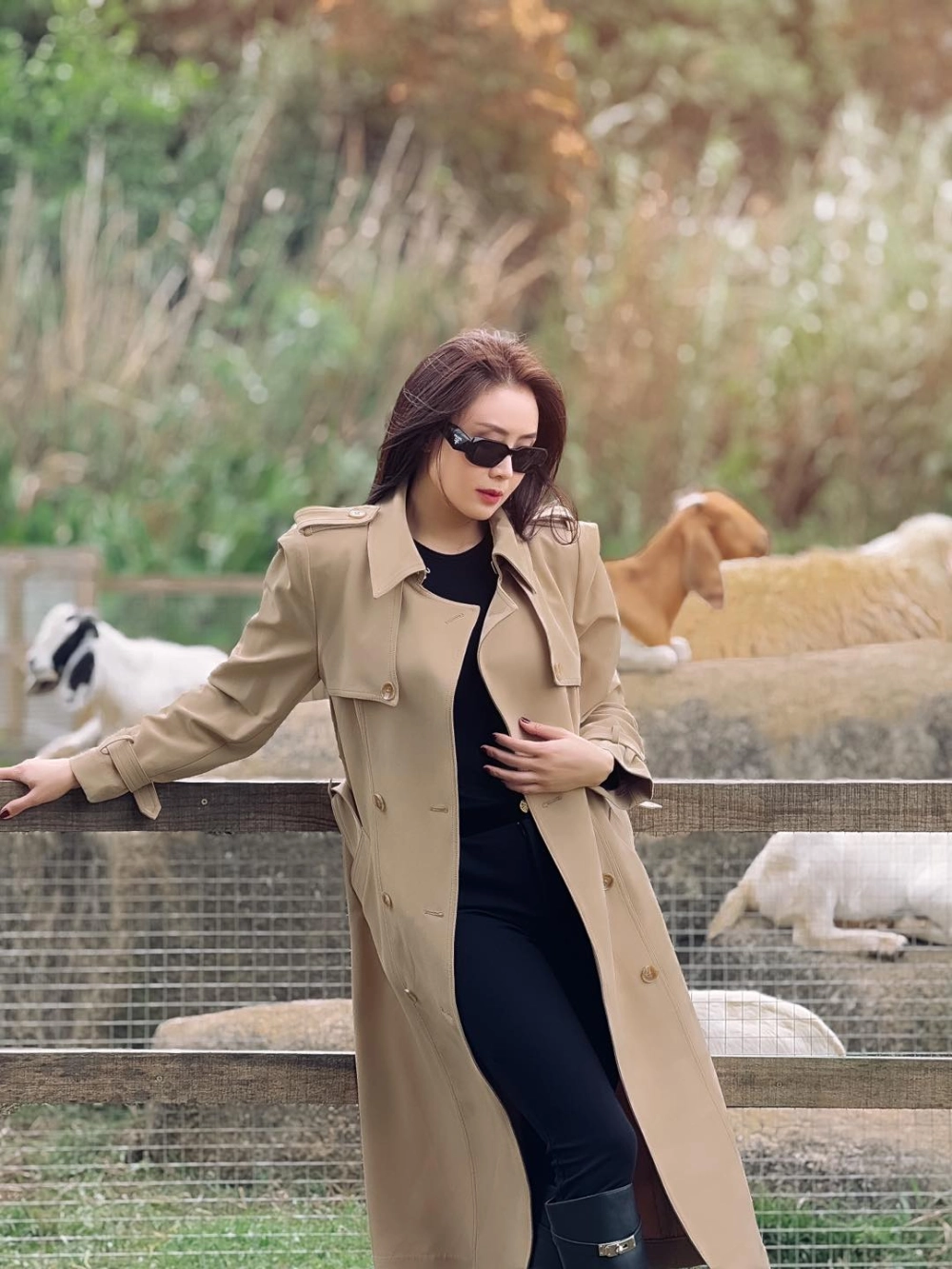Tiểu Sử Của Diễn Viên Hồng Diễm hành trình từ người mẫu đến diễn viên nổi tiếng