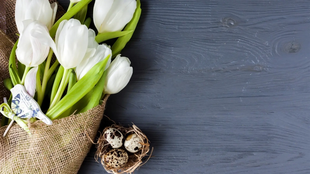 Khám phá vẻ đẹp của hình nền hoa tulip làm sáng bừng màn hình