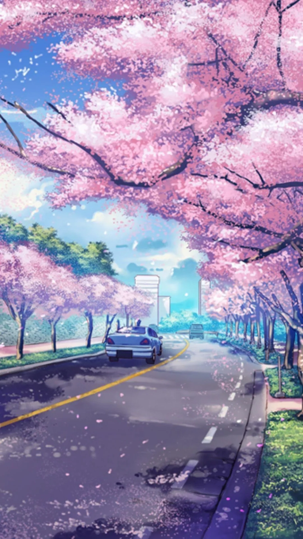 Chiêm ngưỡng bộ hình nền hoa anh đào anime cho điện thoại siêu cute
