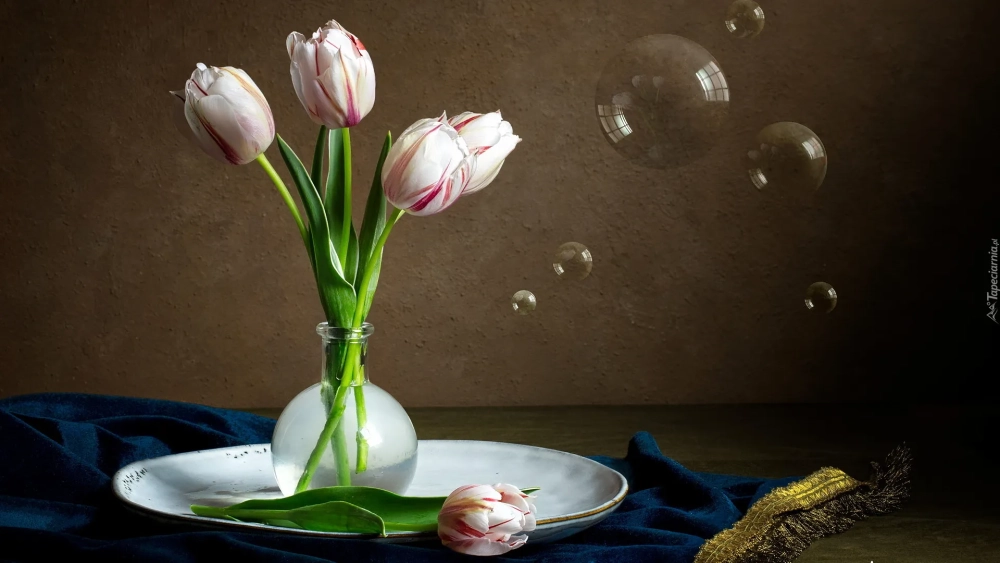 Tuyển chọn ảnh nền hoa tulip đẹp lãng mạn và ấn tượng