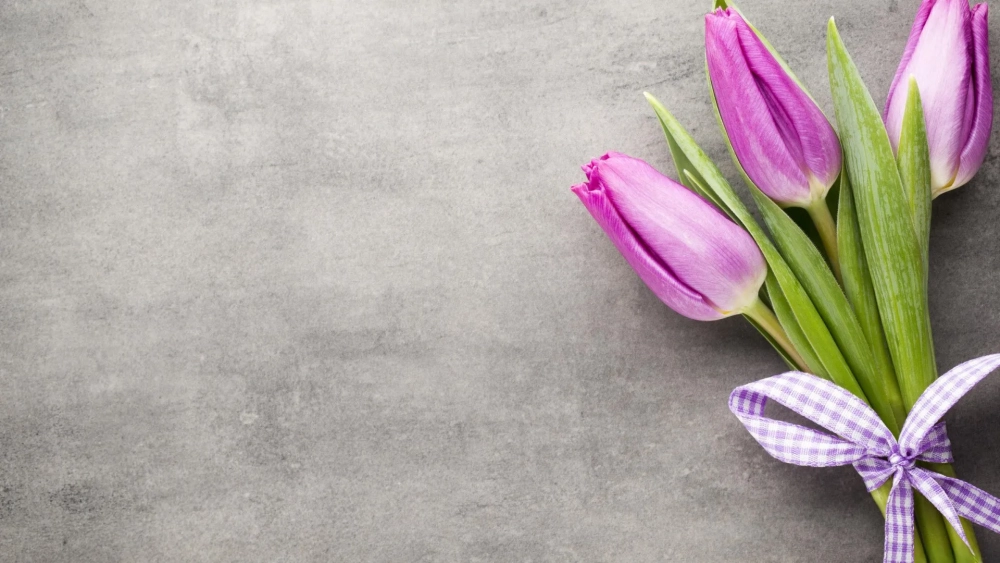 Đổi gió màn hình với hình nền tulip sang trọng và tinh tế
