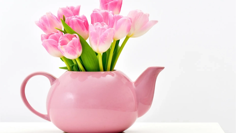 Nét quyến rũ tinh tế của hình nền hoa tulip hồng đầy thơ mộng