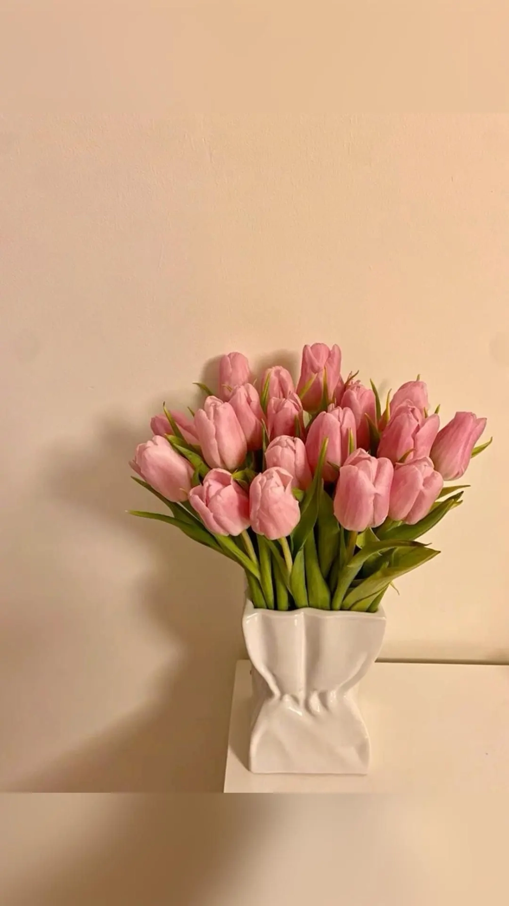 Nâng tầm thẩm mỹ với hoa tulip làm hình nền cực chill