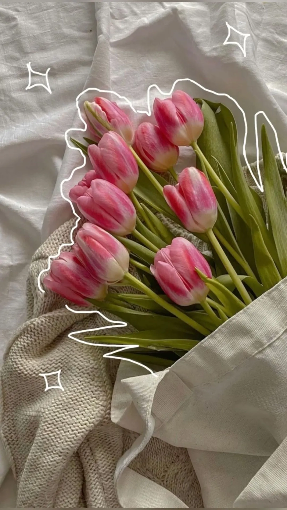 Chìm đắm trong không gian hình nền hoa tulip chill đầy thư thái