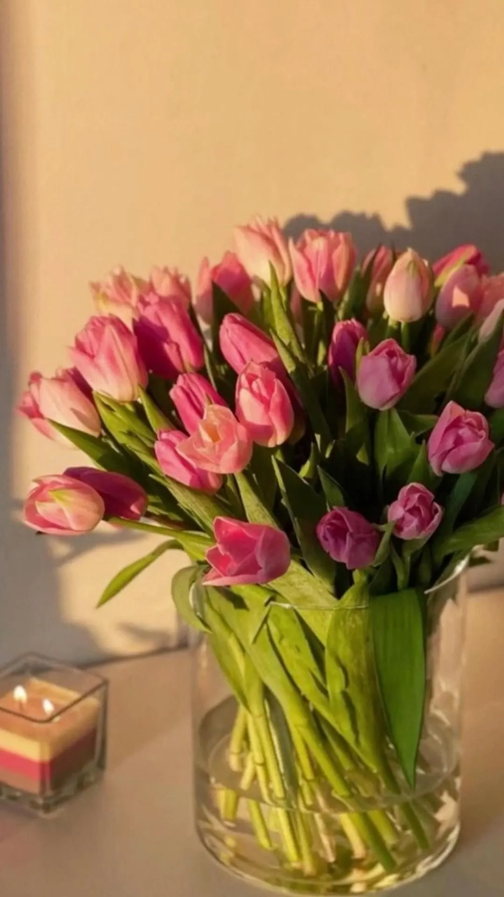 Đổi mới giao diện với ảnh nền điện thoại hoa tulip tuyệt đẹp