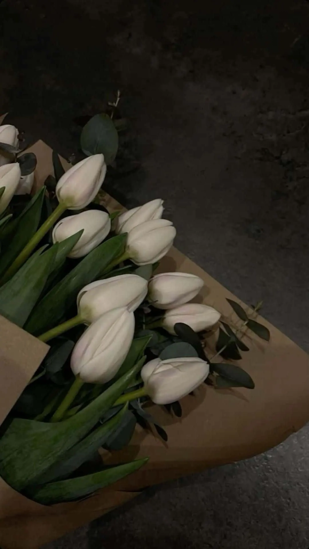 Bộ sưu tập hình nền hoa tulip trắng cực chill, cực đẹp
