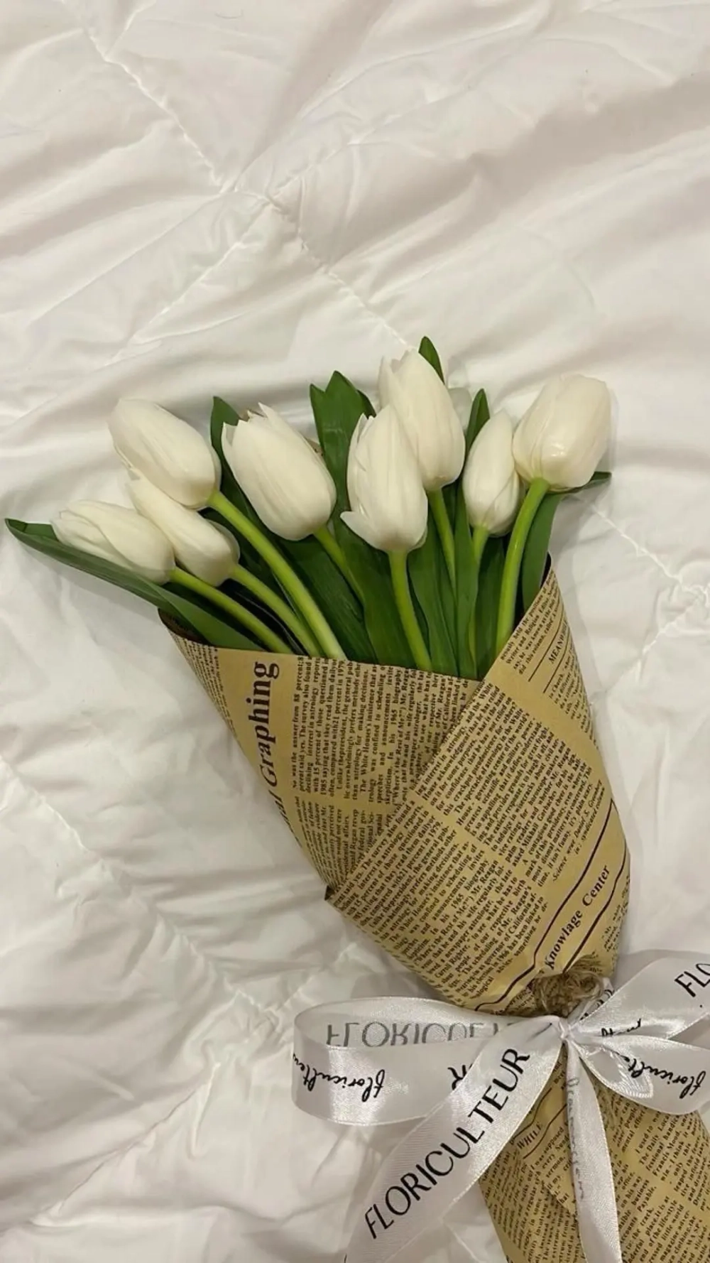 Vẻ đẹp thanh khiết của ảnh hoa tulip trắng cuốn hút mọi ánh nhìn