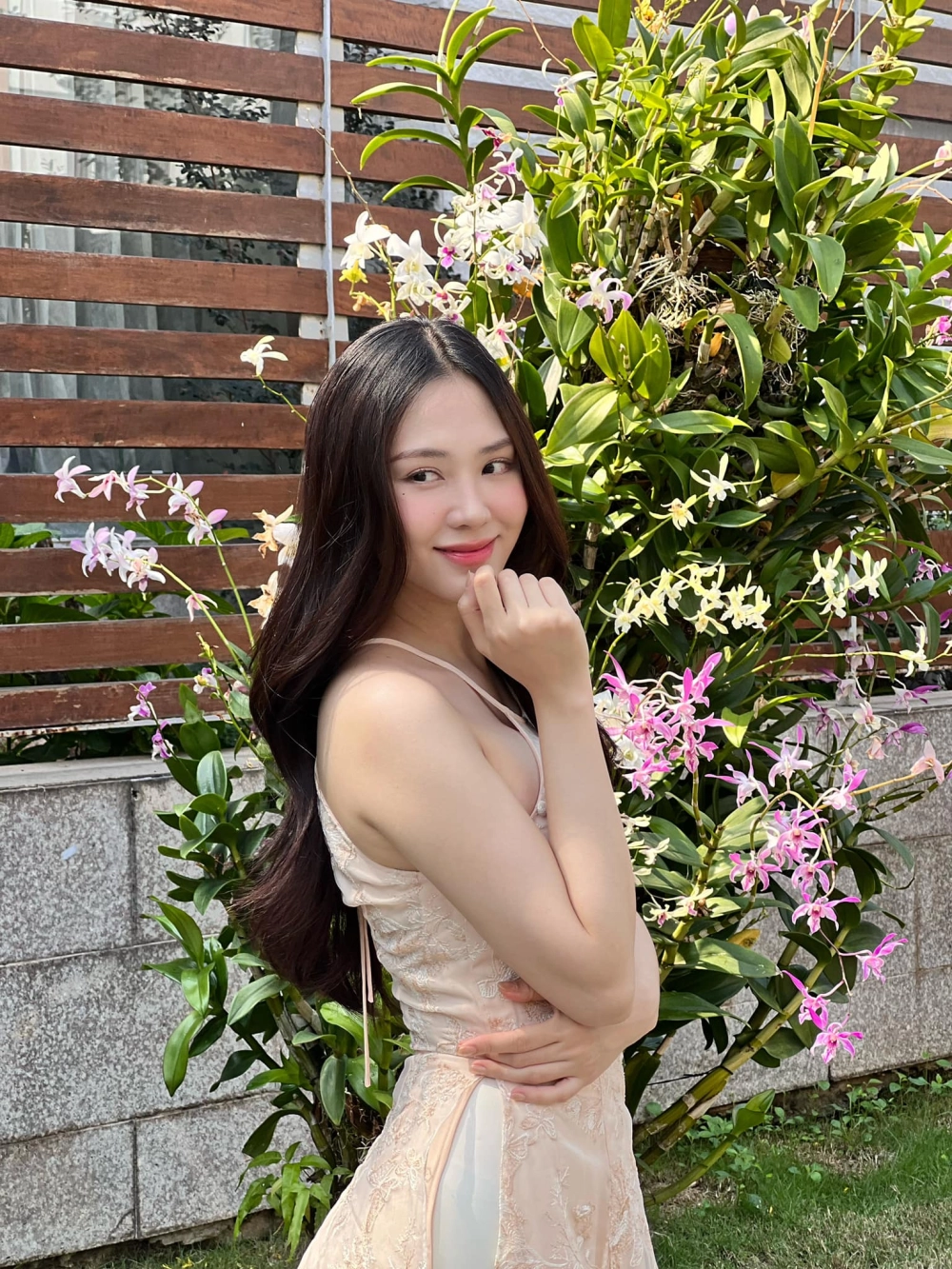 Tiểu sử của hoa hậu Mai Phương
