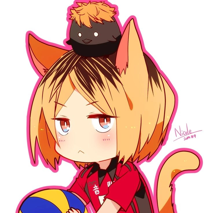 Kenma Cat linh vật mèo của Nekoma với phong thái điềm đạm
