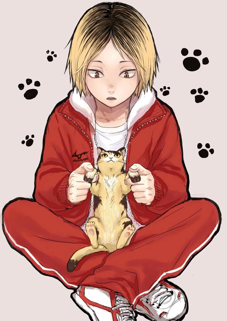 Mèo Kenma hình tượng mèo lười biếng nhưng đầy thông minh