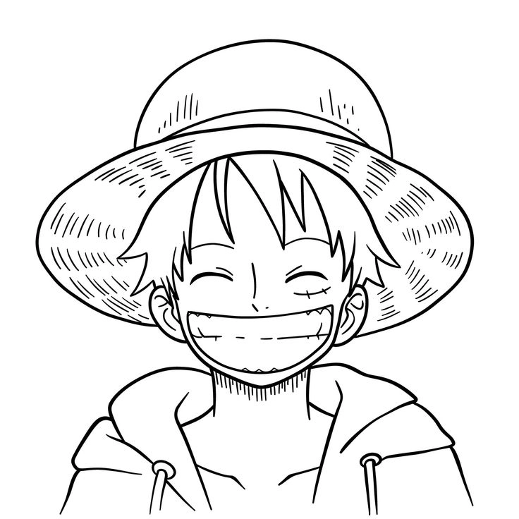 Luffy Draw phong cách anime siêu ngầu