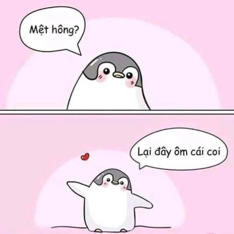 Cưng xỉu với meme an ủi cute này luôn