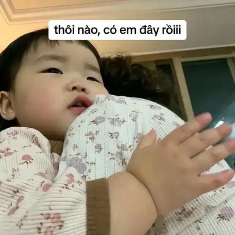 Một chút ấm áp từ an ủi meme dành cho bạn
