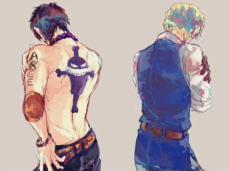 Ace x Sabo mối quan hệ gắn bó từ thuở bé của hai anh em kết nghĩa