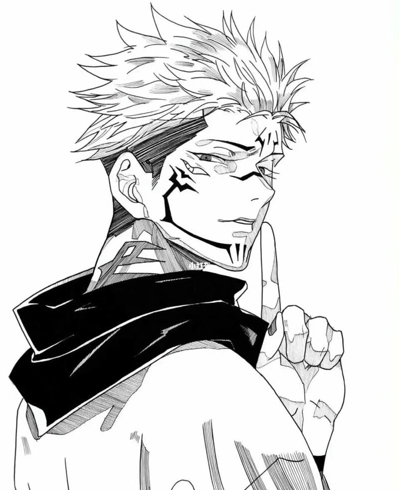 Cat Sukuna phiên bản mèo dễ thương nhưng vẫn bá đạo