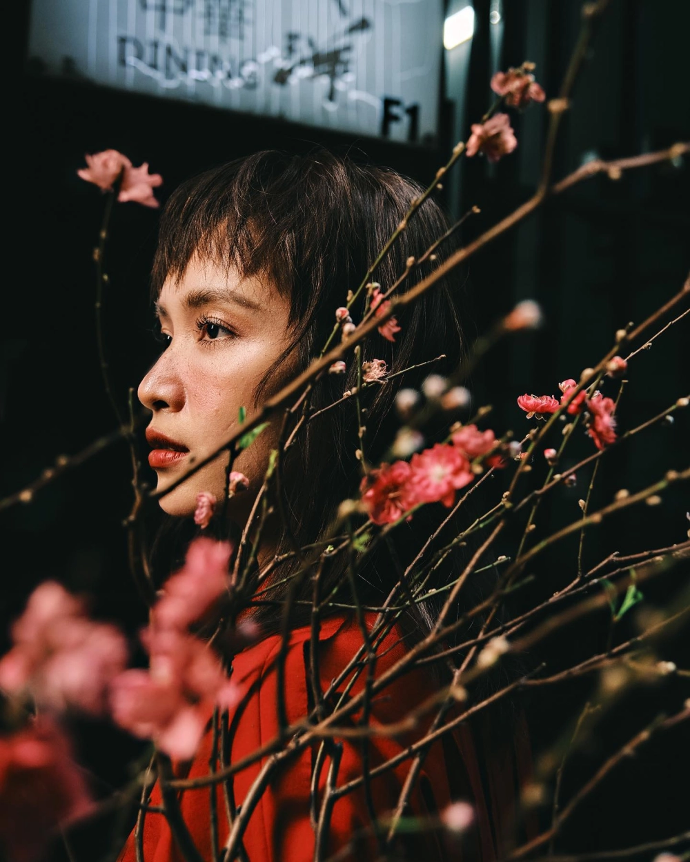 Xuân Hạ Thu Đông Rồi Lại Xuân Ái Phương là giai điệu mang màu sắc mùa xuân