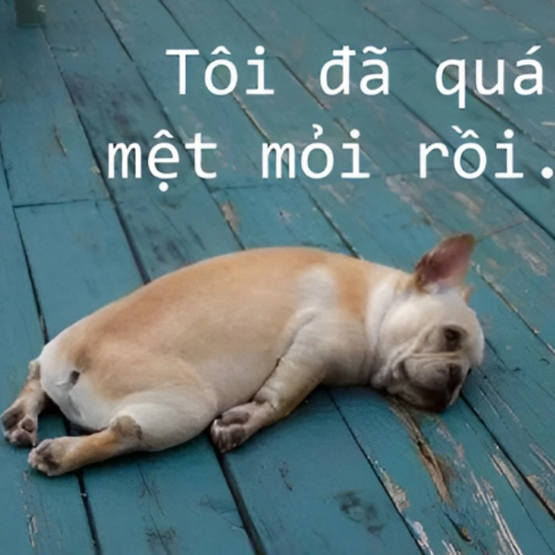 Tôi quá mệt mỏi rồi meme là cách diễn đạt cảm giác kiệt sức