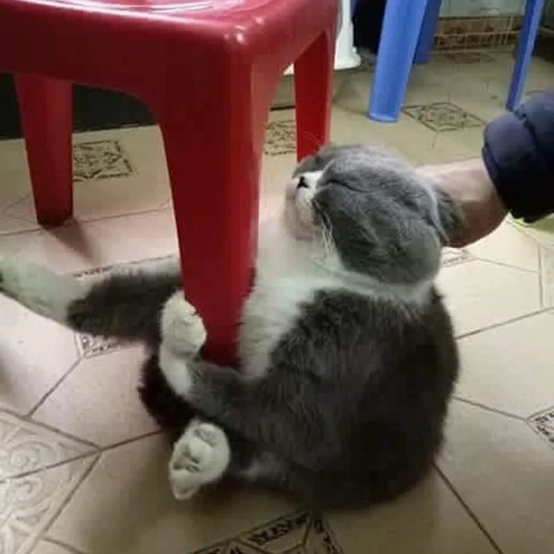 Meme ôm chân khóc gây cảm xúc mạnh mẽ với những tình huống đầy xúc động