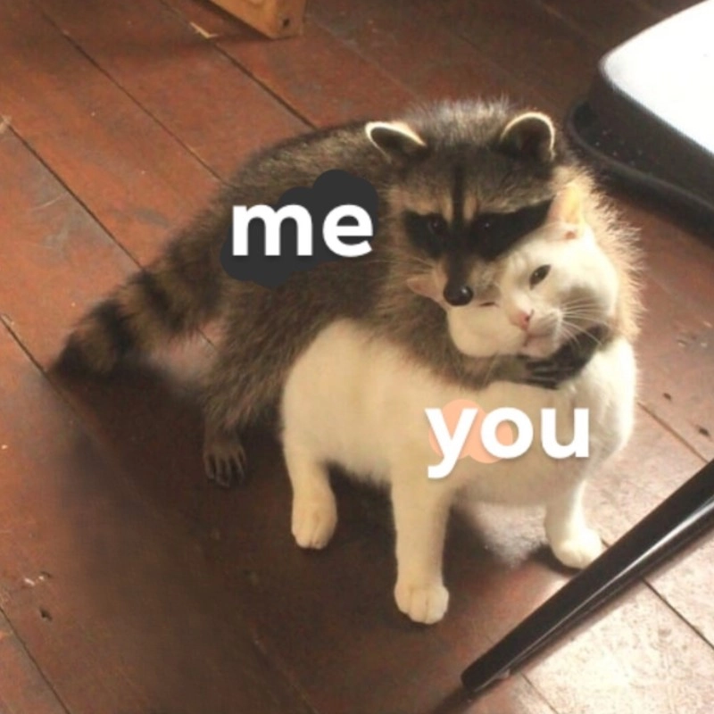 Ôm meme mang đến những khoảnh khắc vui vẻ, ngọt ngào và cực kỳ dễ thương