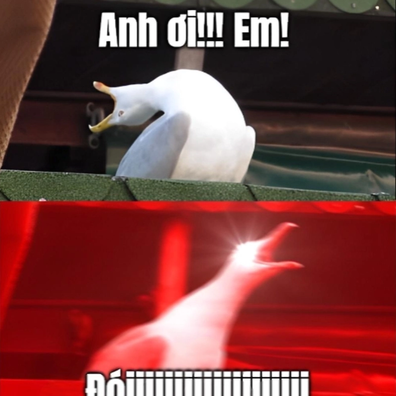 Nhìn mà cười xỉu với meme con vịt hét