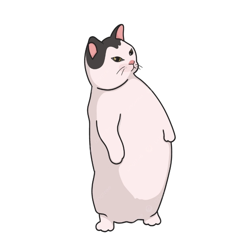 Hình vẽ sáng tạo từ meme mèo cute vẽ