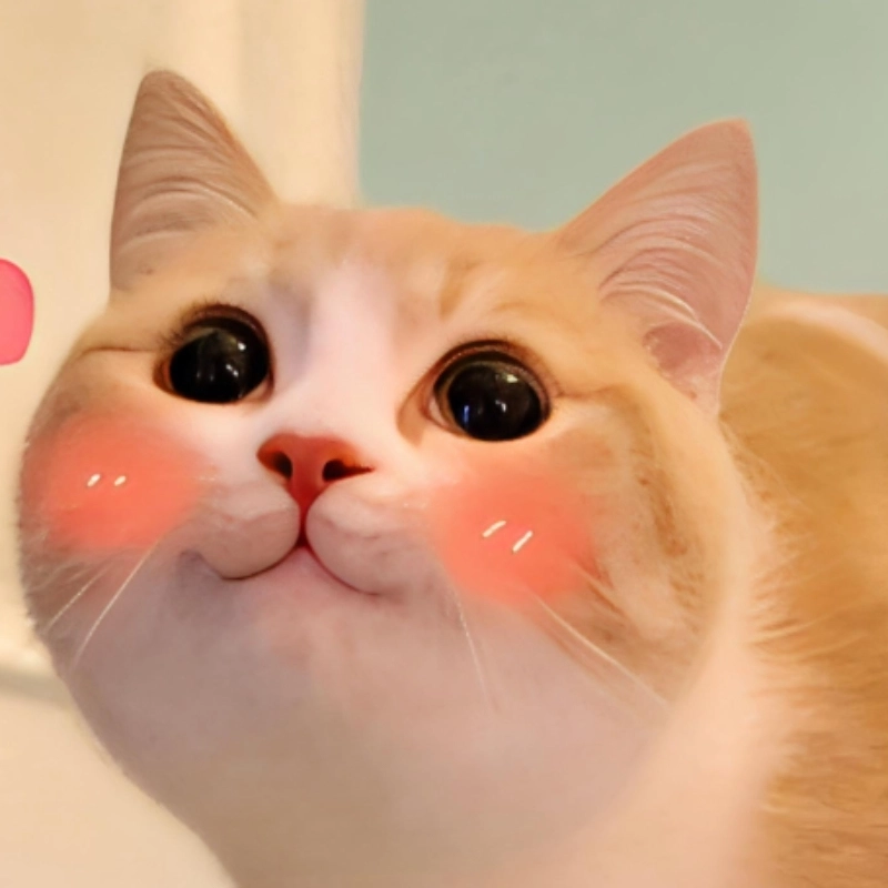 Meme cười tủm tỉm mang lại cảm giác nhẹ nhàng, vui vẻ và đầy sự tinh nghịch