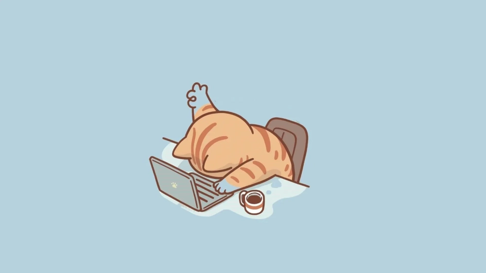 Hình nền máy tính con mèo cute dễ thương giúp tăng năng suất làm việc