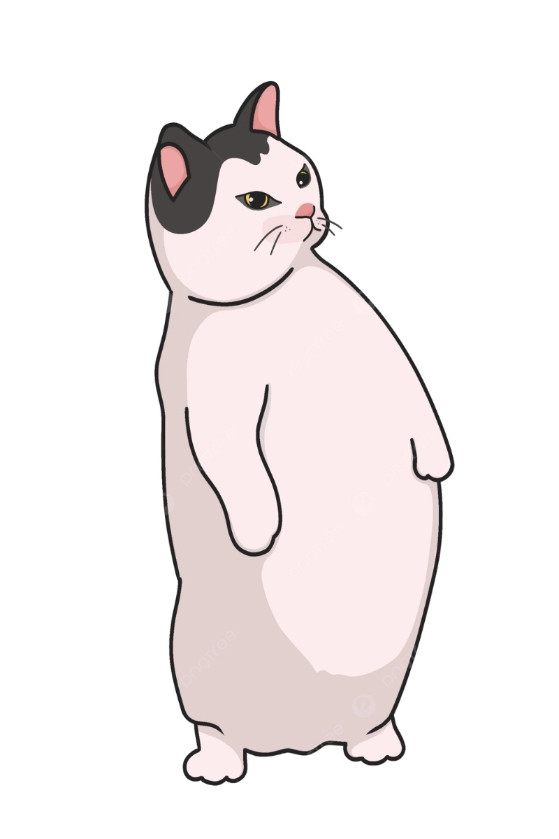Hình nền mèo 3d cute siêu ngọt ngào