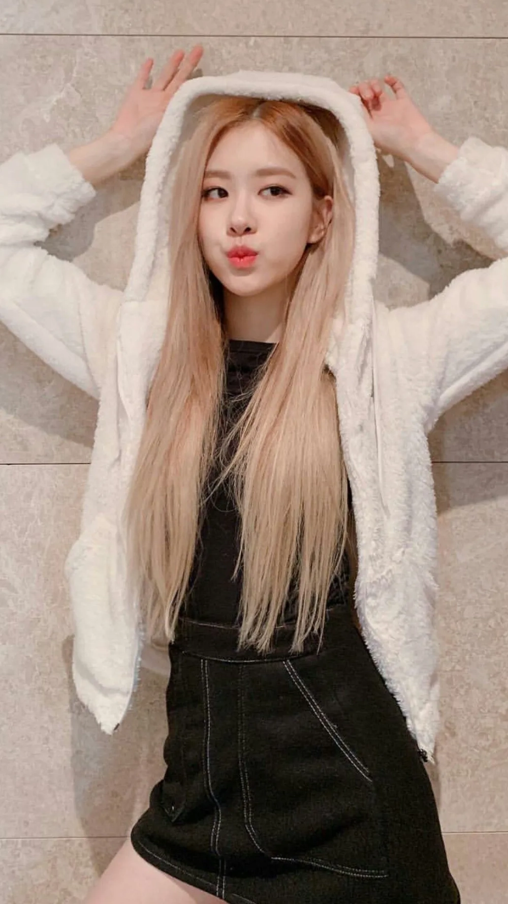 Hình nền Rose cute dễ thương cho không gian sống động và đáng yêu