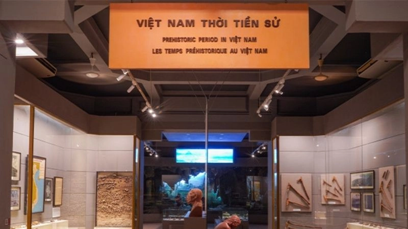 Bảo tàng Lịch sử Việt Nam giá vé hợp lý cho mọi du khách