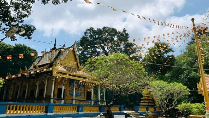 Dơi Chùa Dơi Sóc Trăng độc đáo giữa không gian tâm linh