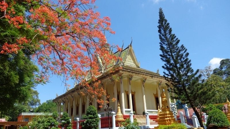 Cảnh quan Chùa Hang Trà Vinh thanh tịnh giữa thiên nhiên