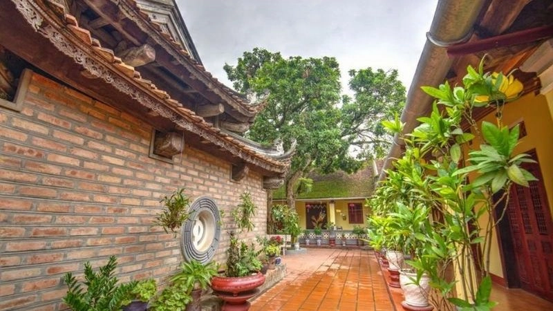 Trải nghiệm cá nhân khi thăm chùa Kim Liên