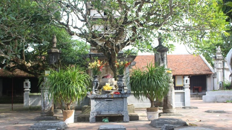 Trải nghiệm cá nhân khi thăm Chùa Phổ Minh