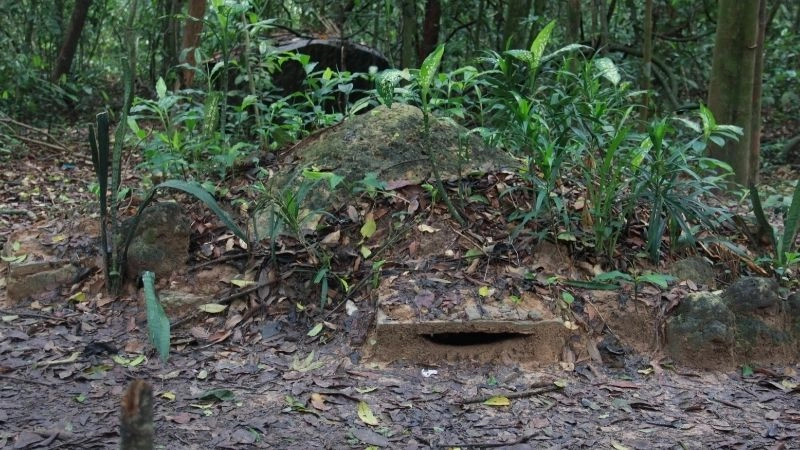 Tour địa đạo Củ Chi trải nghiệm hành trình ngược thời gian