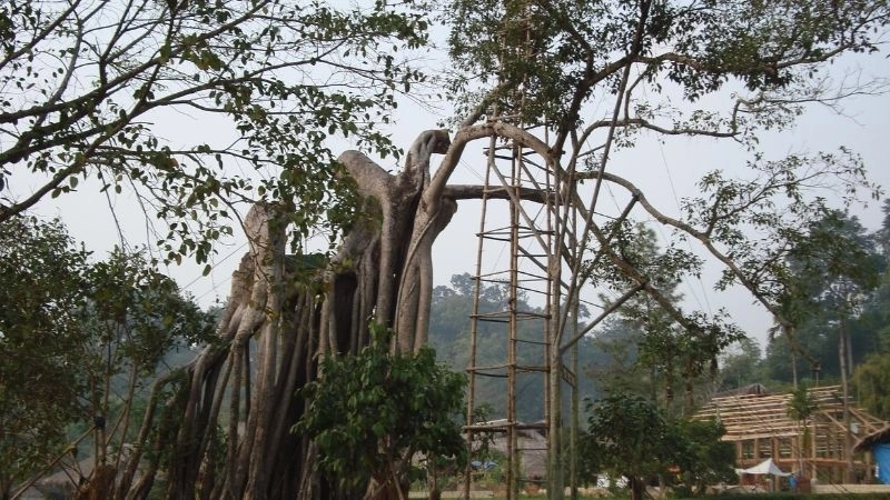 Hình ảnh khu di tích Tân Trào khắc sâu dấu ấn lịch sử