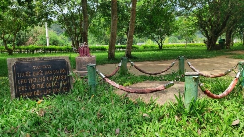 Cây đa Tân Trào biểu tượng lịch sử cách mạng Việt Nam