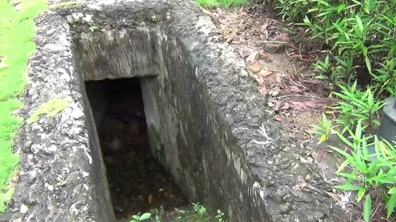 Nghĩa Lộ Việt Bắc không gian xanh và dấu ấn xưa