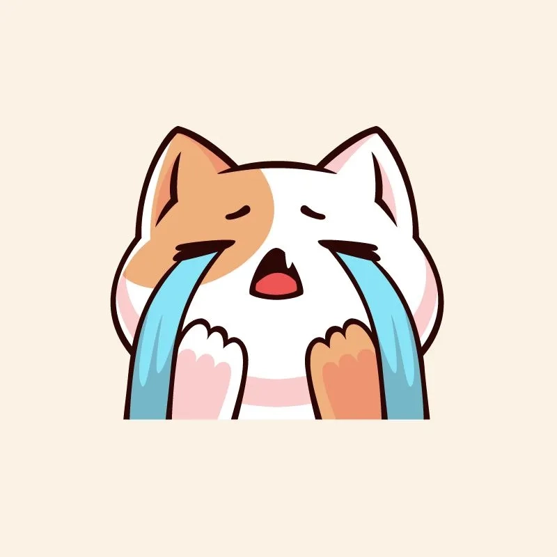 Crying memes được yêu thích nhờ sự chân thực cảm xúc