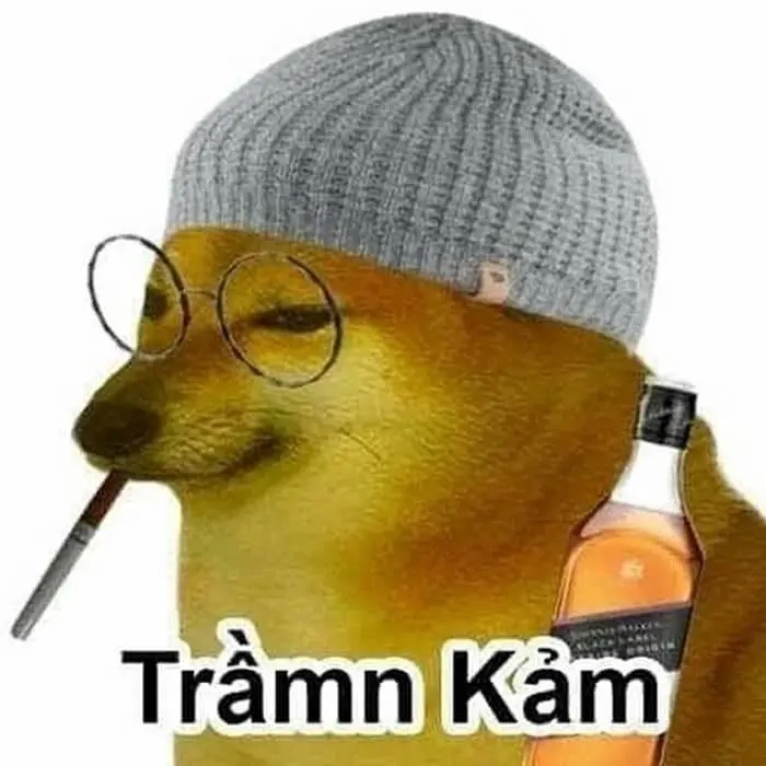 Bất lực meme khắc họa tình huống bi hài quen thuộc