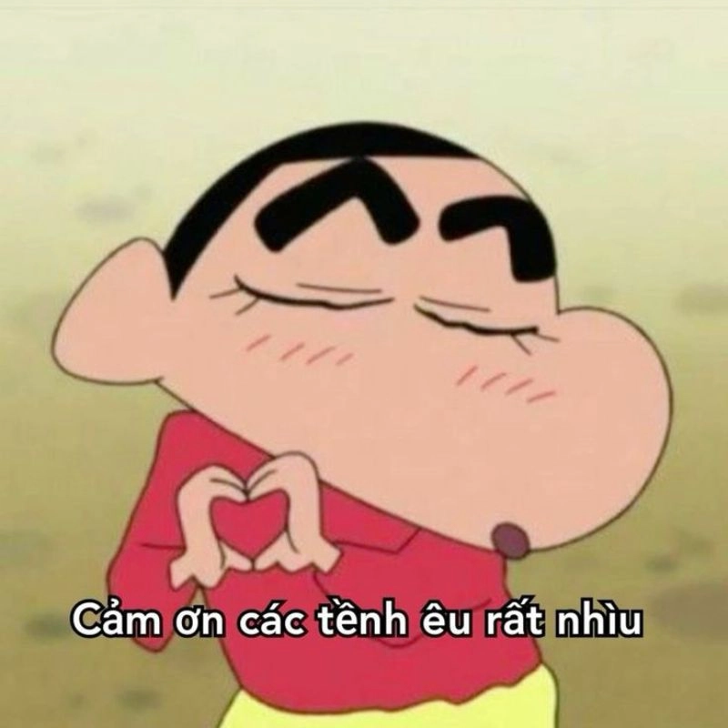 Ảnh meme cảm ơn lan tỏa mạnh mẽ trên cộng đồng mạng
