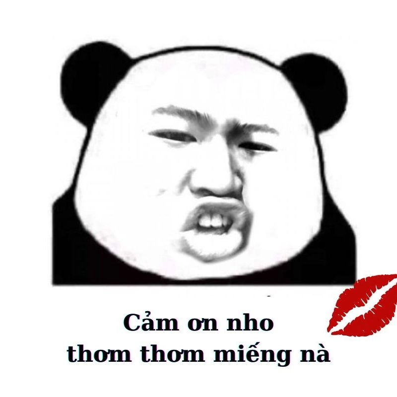 Meme cảm ơn thuyết trình giúp bài nói thêm phần thú vị