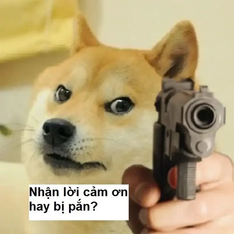 Lời cảm ơn meme trở thành điểm nhấn đầy độc đáo thú vị