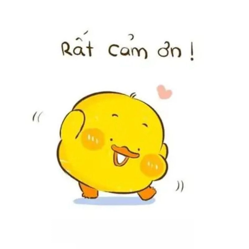 Meme cảm ơn dễ thương phù hợp gửi gắm sự chân thành