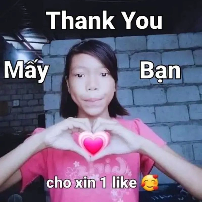 Hình ảnh meme cảm ơn nổi bật với nhiều ý tưởng sáng tạo
