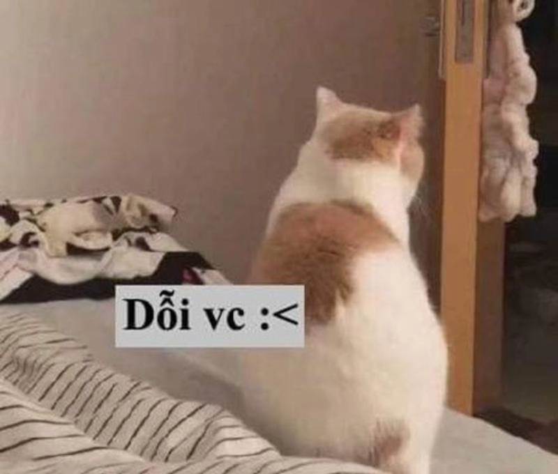 Meme dỗi cực chất khiến ai xem cũng thích thú