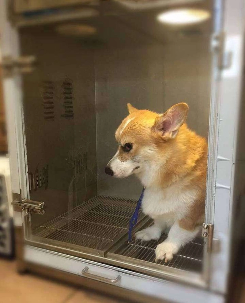 Meme dỗi dễ thương khiến cảm xúc thêm ngọt ngào