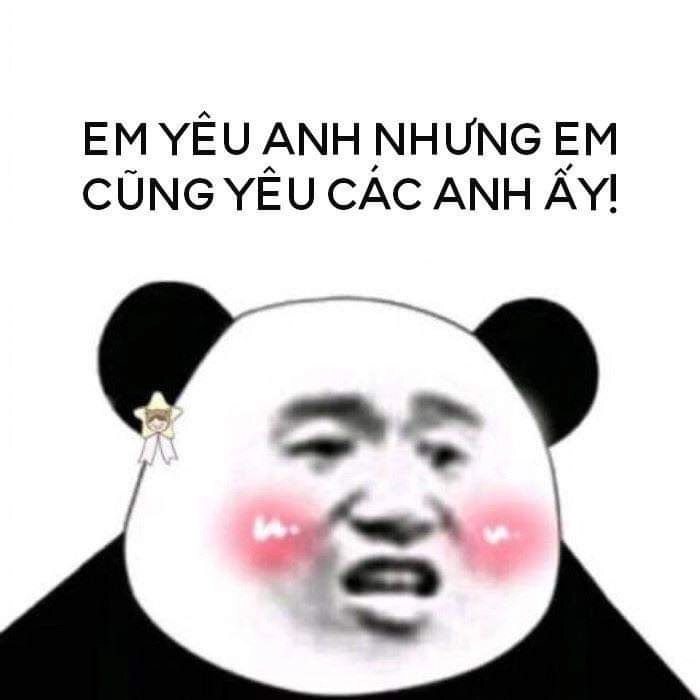 Tips dùng ảnh meme gấu phù hợp